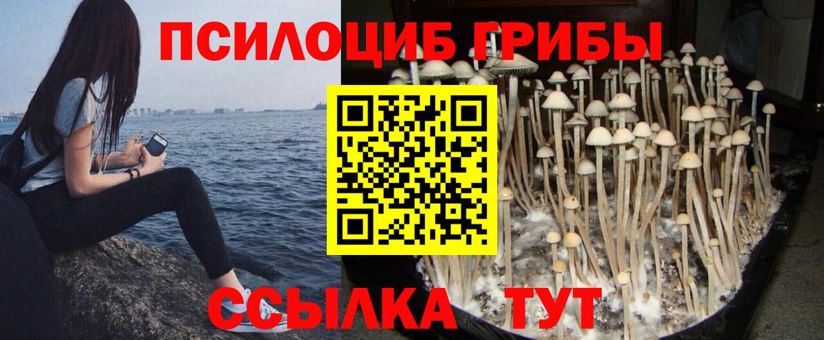 Псилоцибиновые грибы Cubensis Верхняя Салда